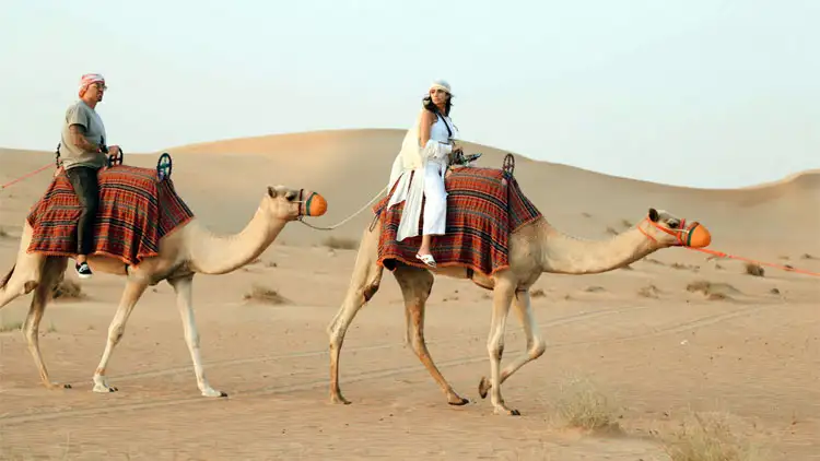 Beginner’s Guide to Preparing for Camel Trekking