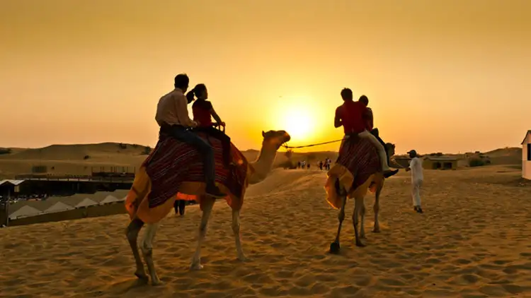 The Magic of Sunset Views During a Desert Safari