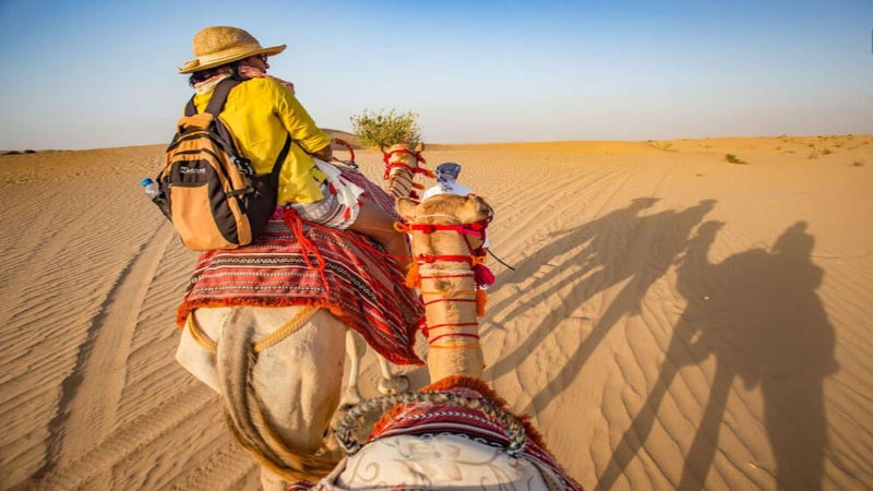 Camel Trekking Abu Dhabi