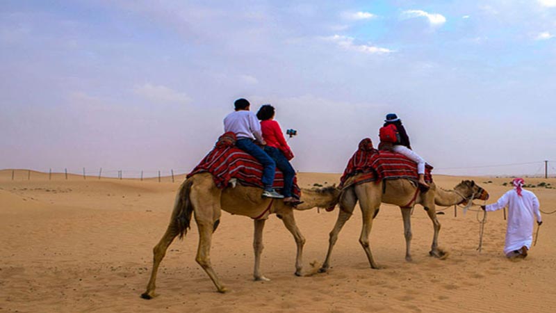 Camel Trekking Abu Dhabi
