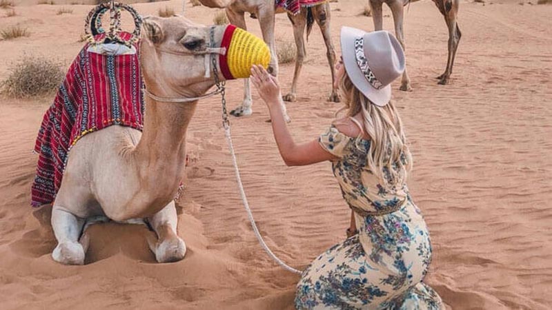 Camel Trekking Abu Dhabi