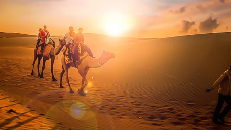 Camel Trekking Abu Dhabi