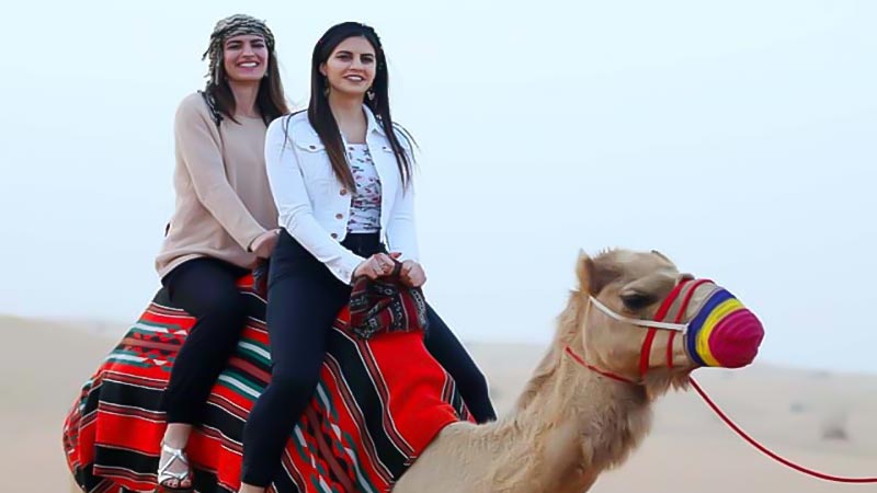 Evening Desert Safari Bus Pickup