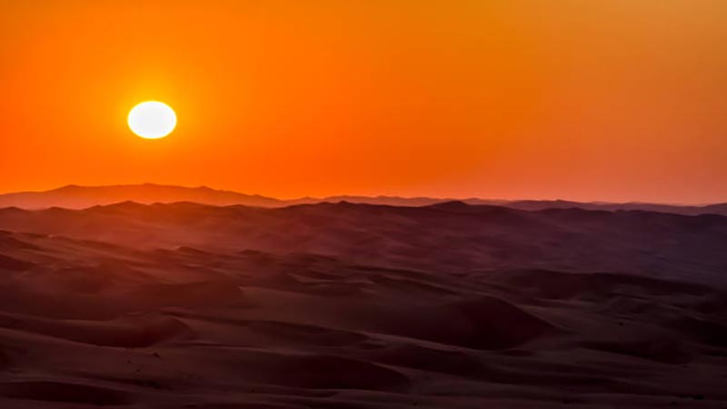 Liwa Desert Safari From Abu Dhabi