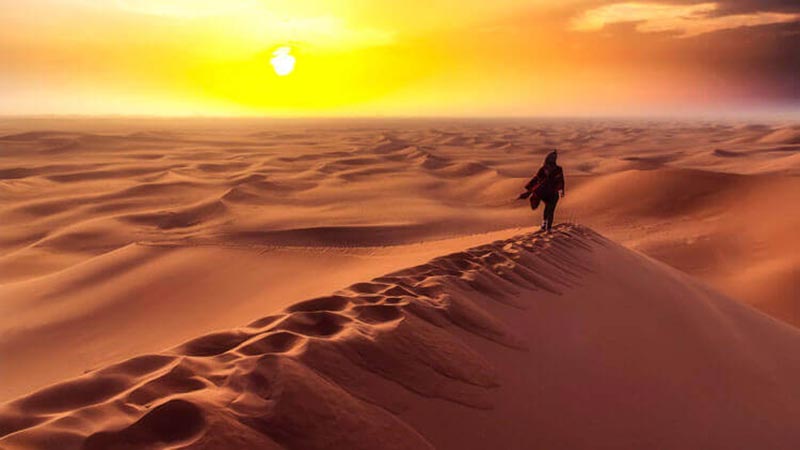 Liwa Overnight Desert Safari