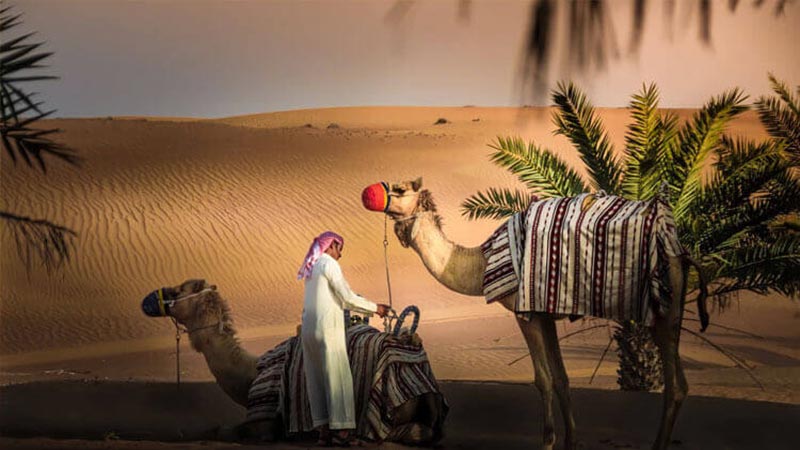 Liwa Overnight Desert Safari