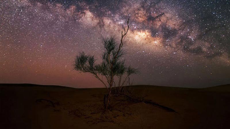Overnight Desert Safari Abu Dhabi